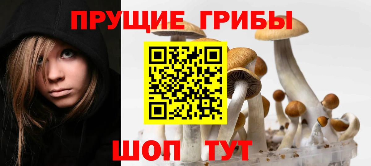 Галлюциногенные грибы Psilocybe  Вход с VPN  Строитель  Галлюциногенные грибы Magic Shrooms 